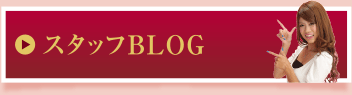 スタッフBLOG